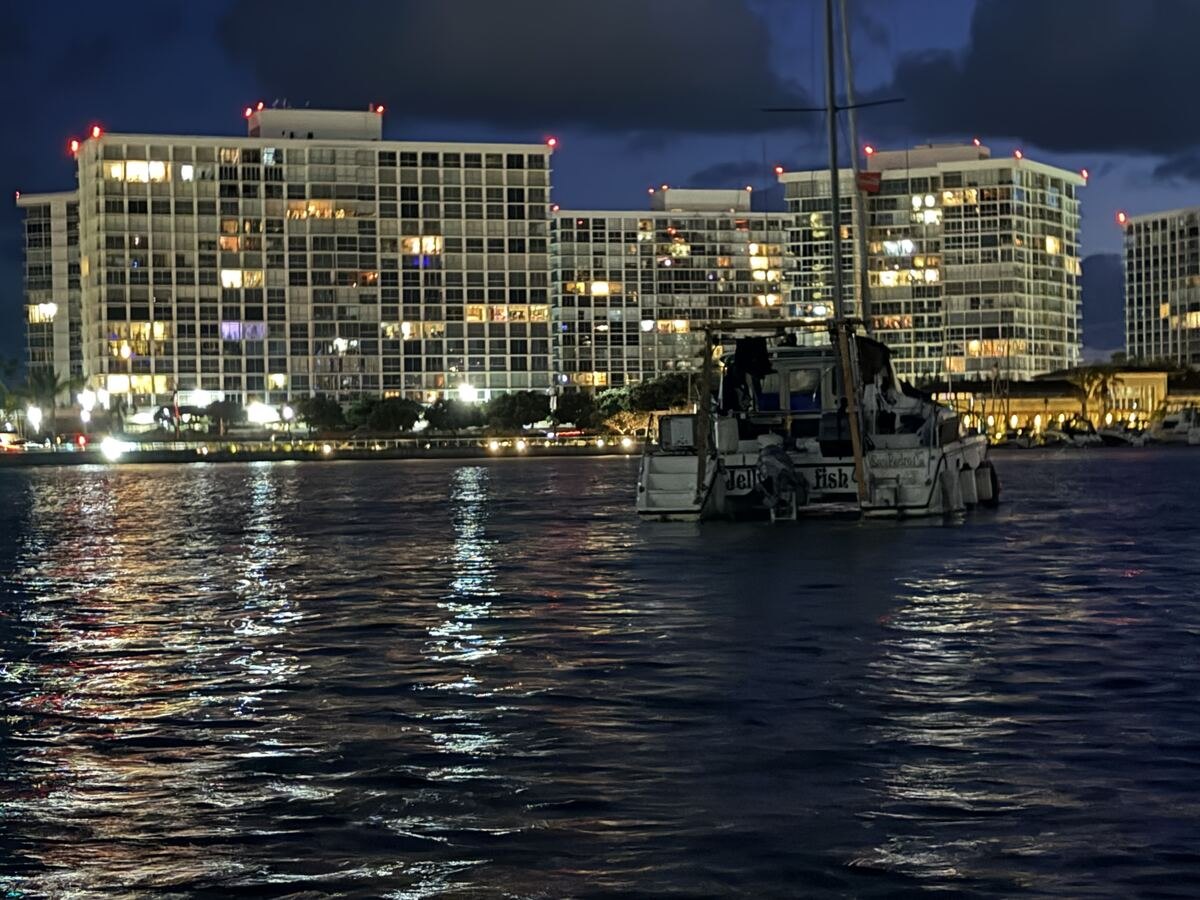 Odyssey Cat at night